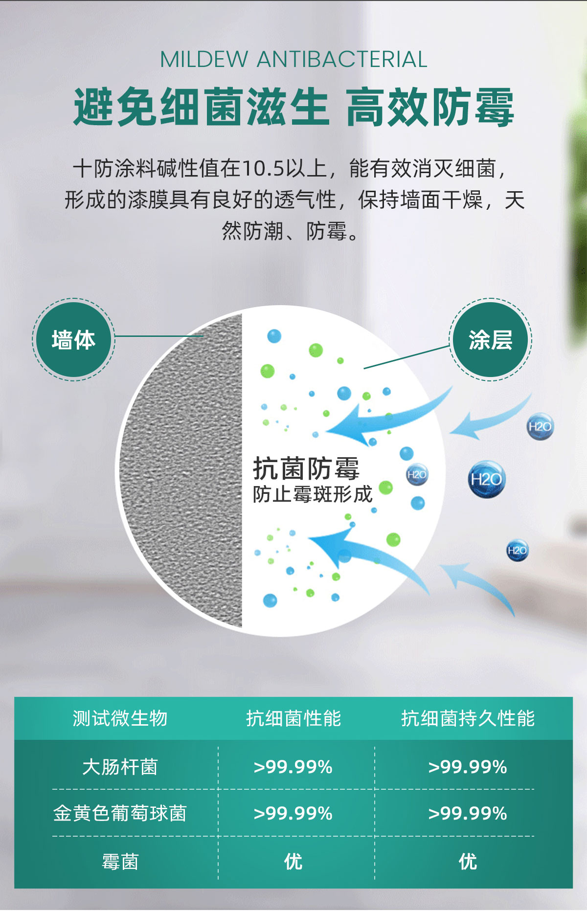 十防墻面漆_05